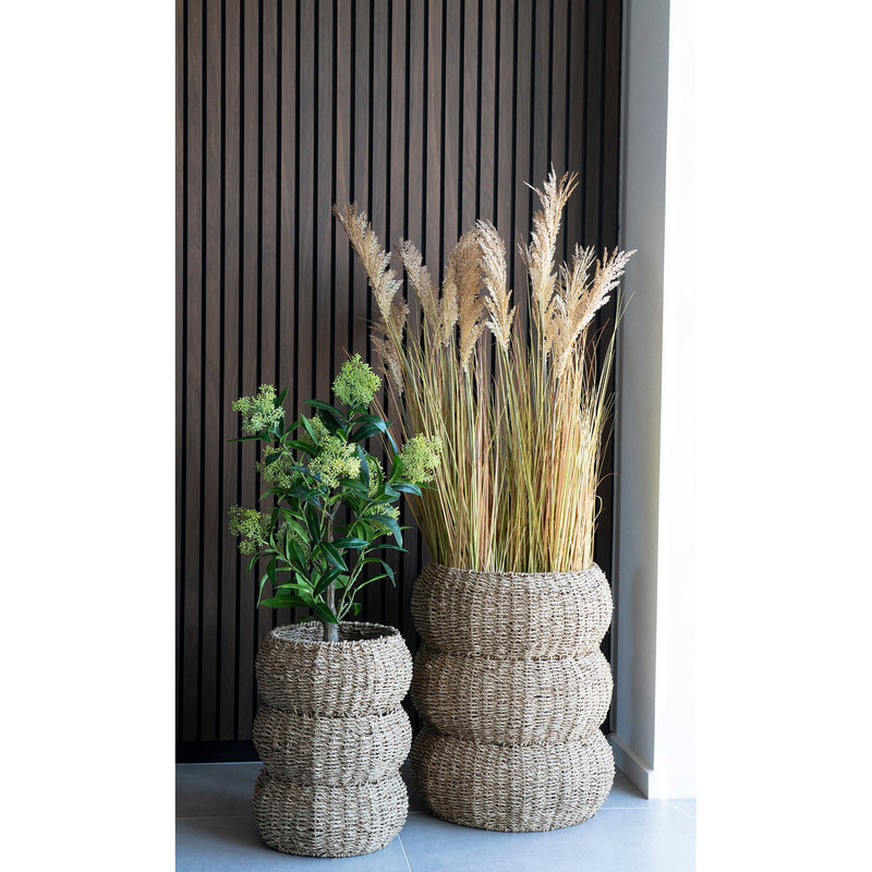 Rattan, Geflecht und Seegras: integrieren und pflegen