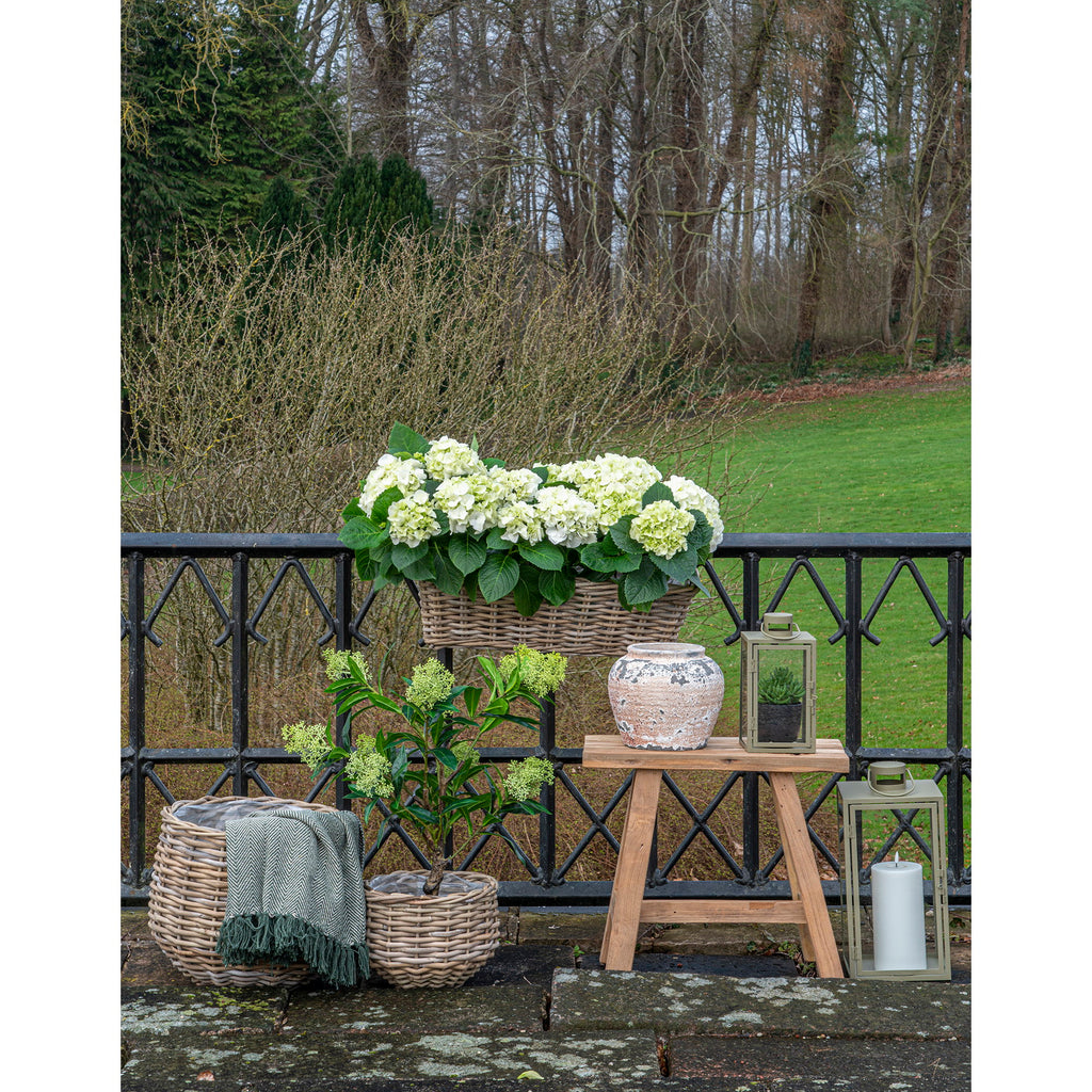 Pulo Round Planters – Natural Kubu Rattan – Set of 2