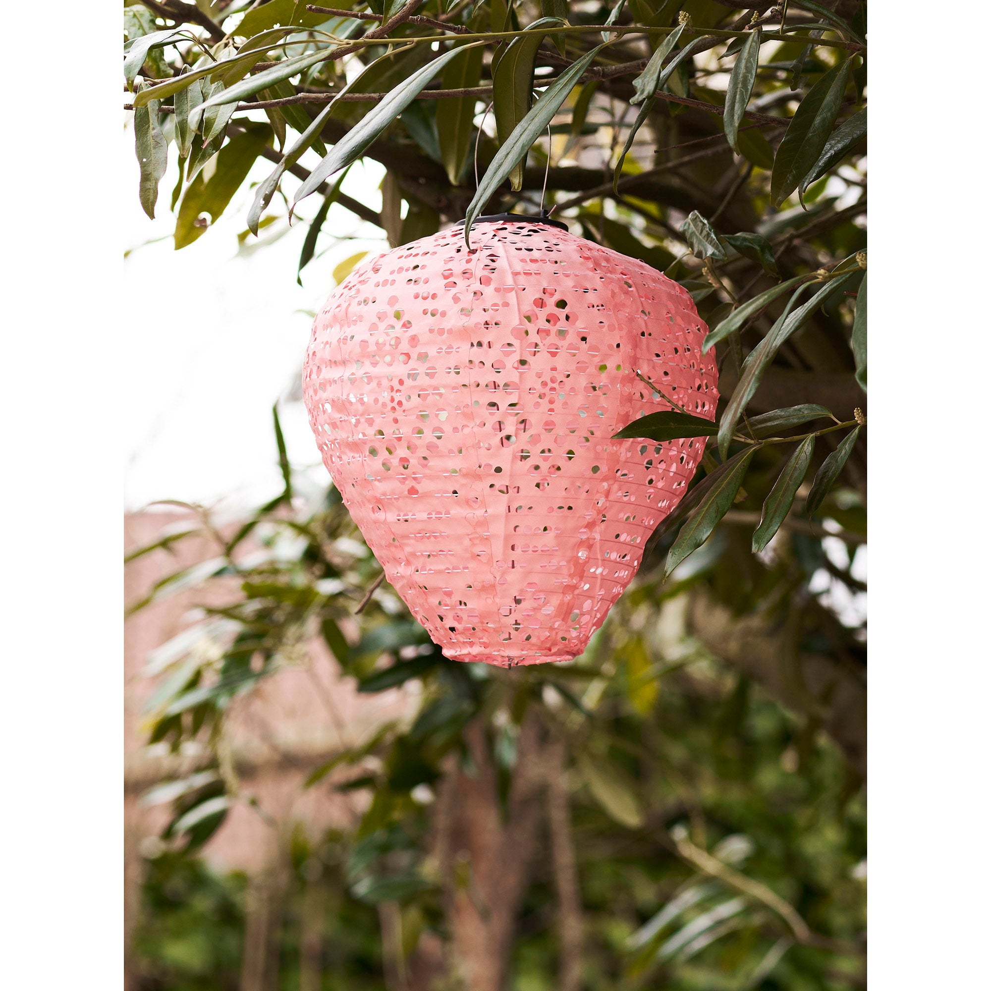 Lanterne LED Greatham Rose