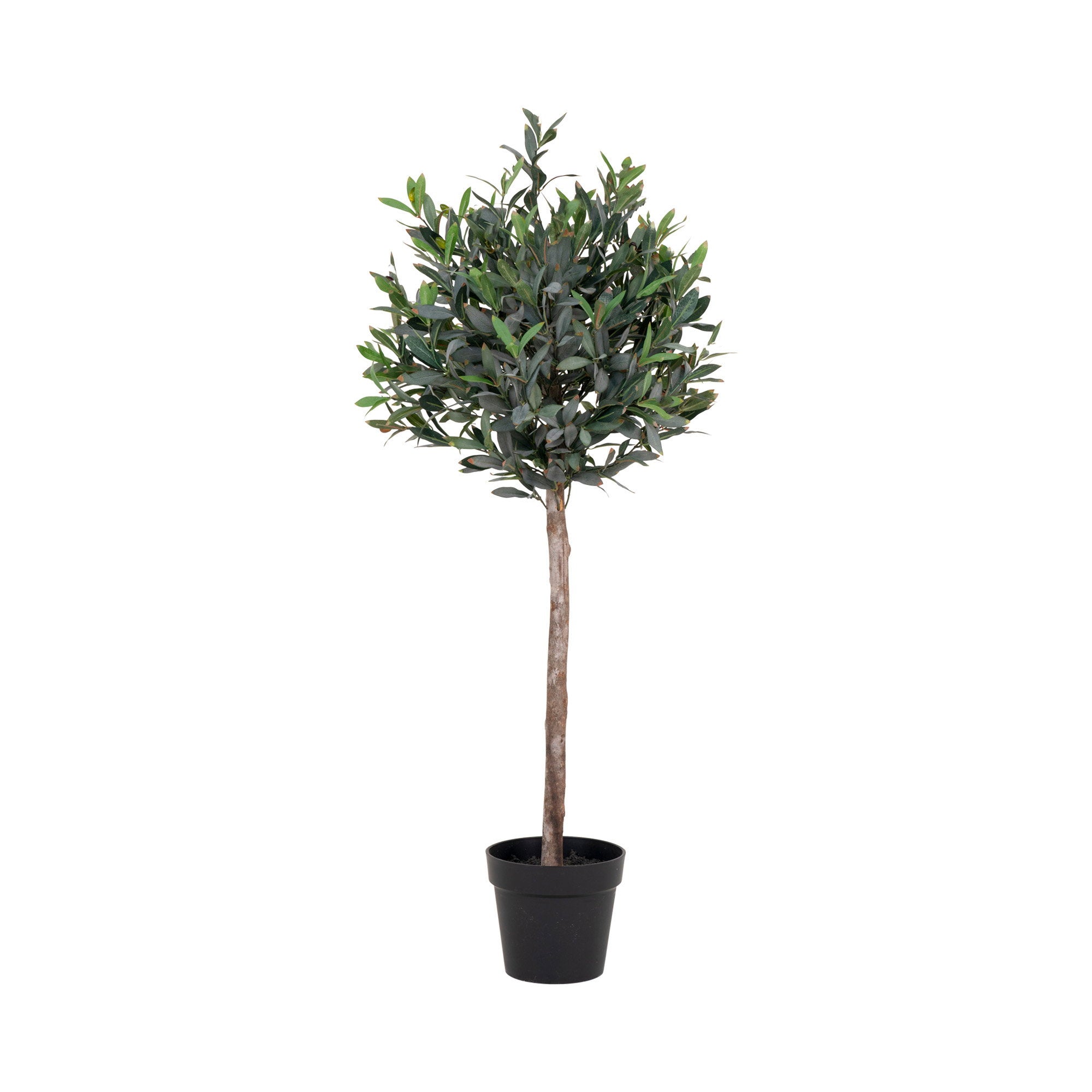 Olive Tree - Green | HouseNordic