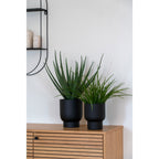 Aloe Vera artificiel dans cache-pot noir sur buffet bois clair avec herbe ornementale