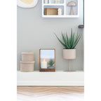 Aloe Vera artificiel dans cache-pot beige sur porte-plante en salon contemporain