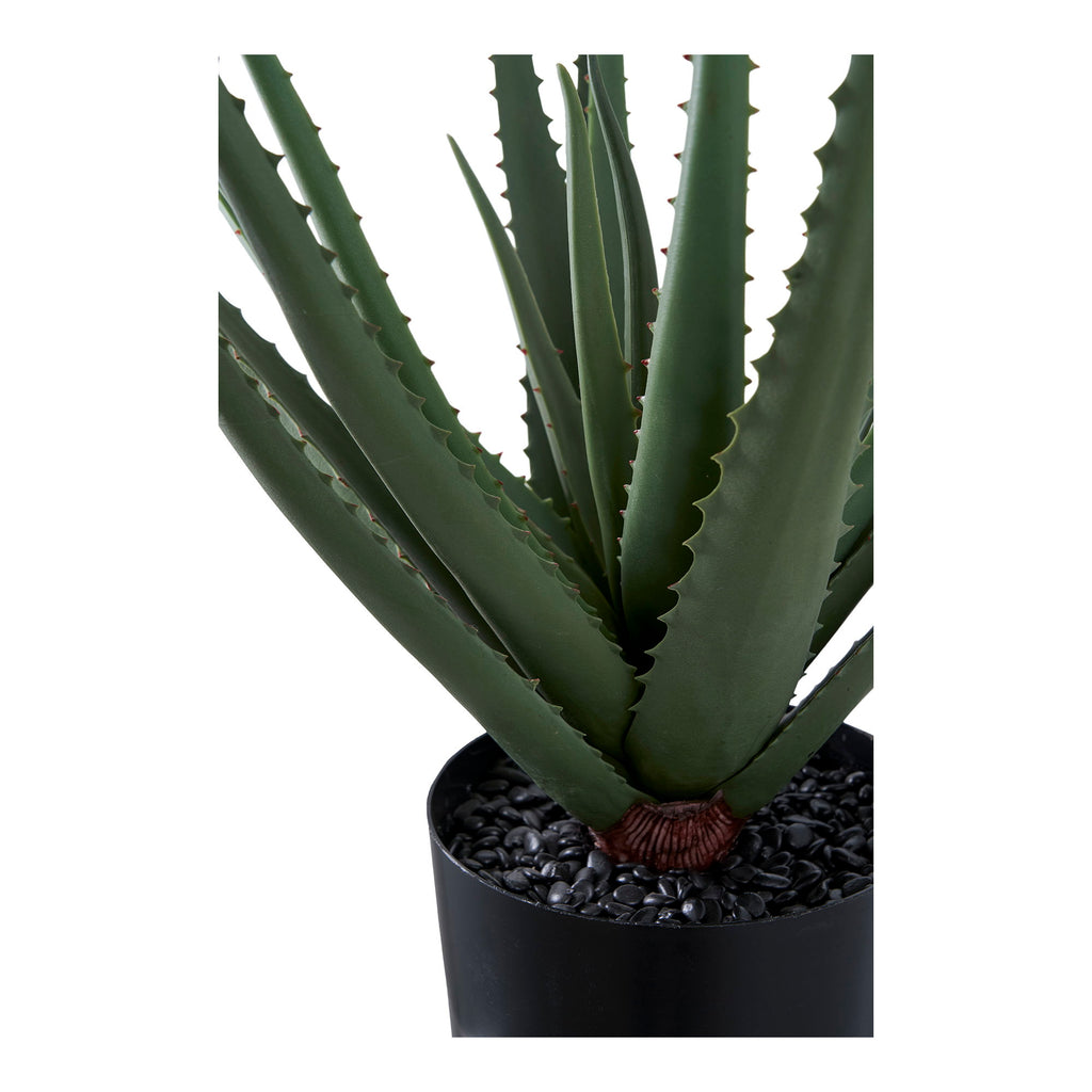 Détail base feuilles dentelées et galets décoratifs Aloe Vera artificiel pot noir