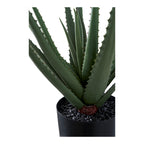 Détail base feuilles dentelées et galets décoratifs de l'Aloe Vera artificiel