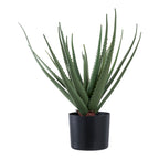 Aloe Vera artificiel vert 51 cm dans pot noir avec galets décoratifs fond blanc