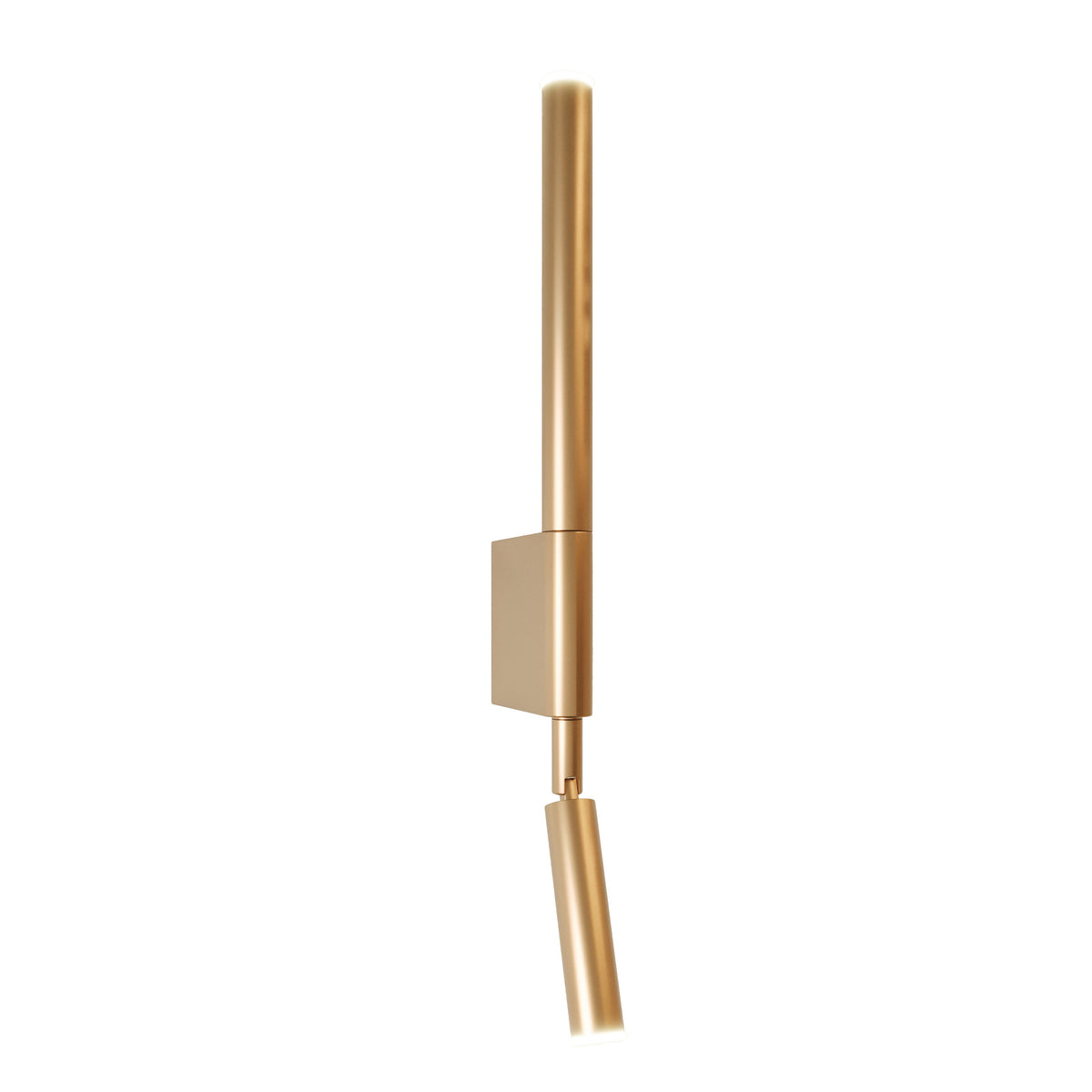Applique murale liseuse Organic Métal brossé doré sur fond blanc tube vertical et spot orientable