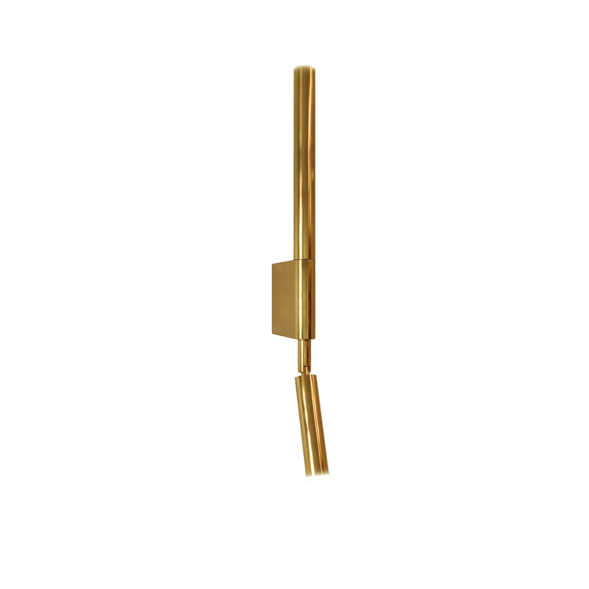 Applique murale liseuse Organic Métal doré sur fond blanc tube vertical et spot orientable