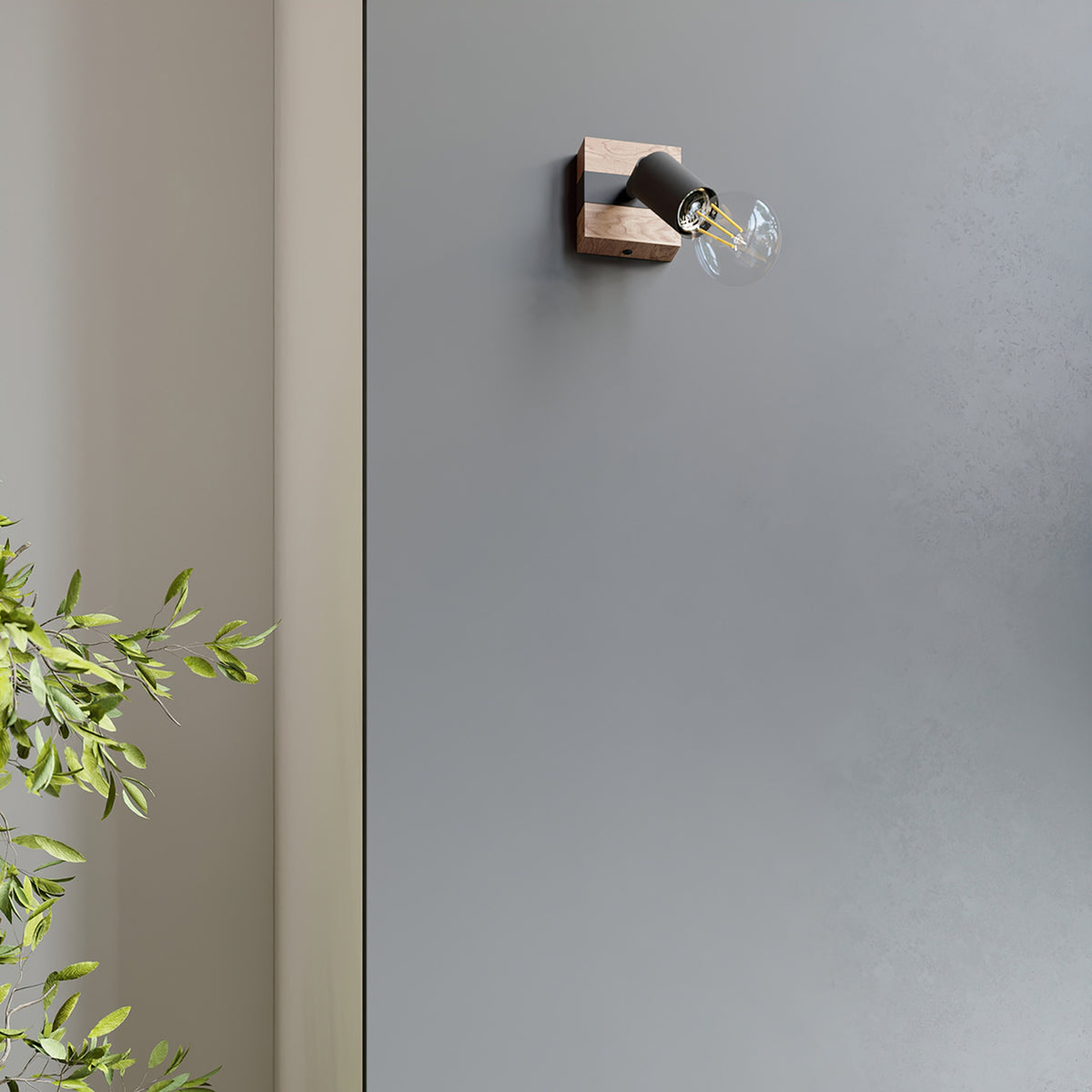 Applique murale Zuca en bois et acier noir sur un mur gris près d'une plante