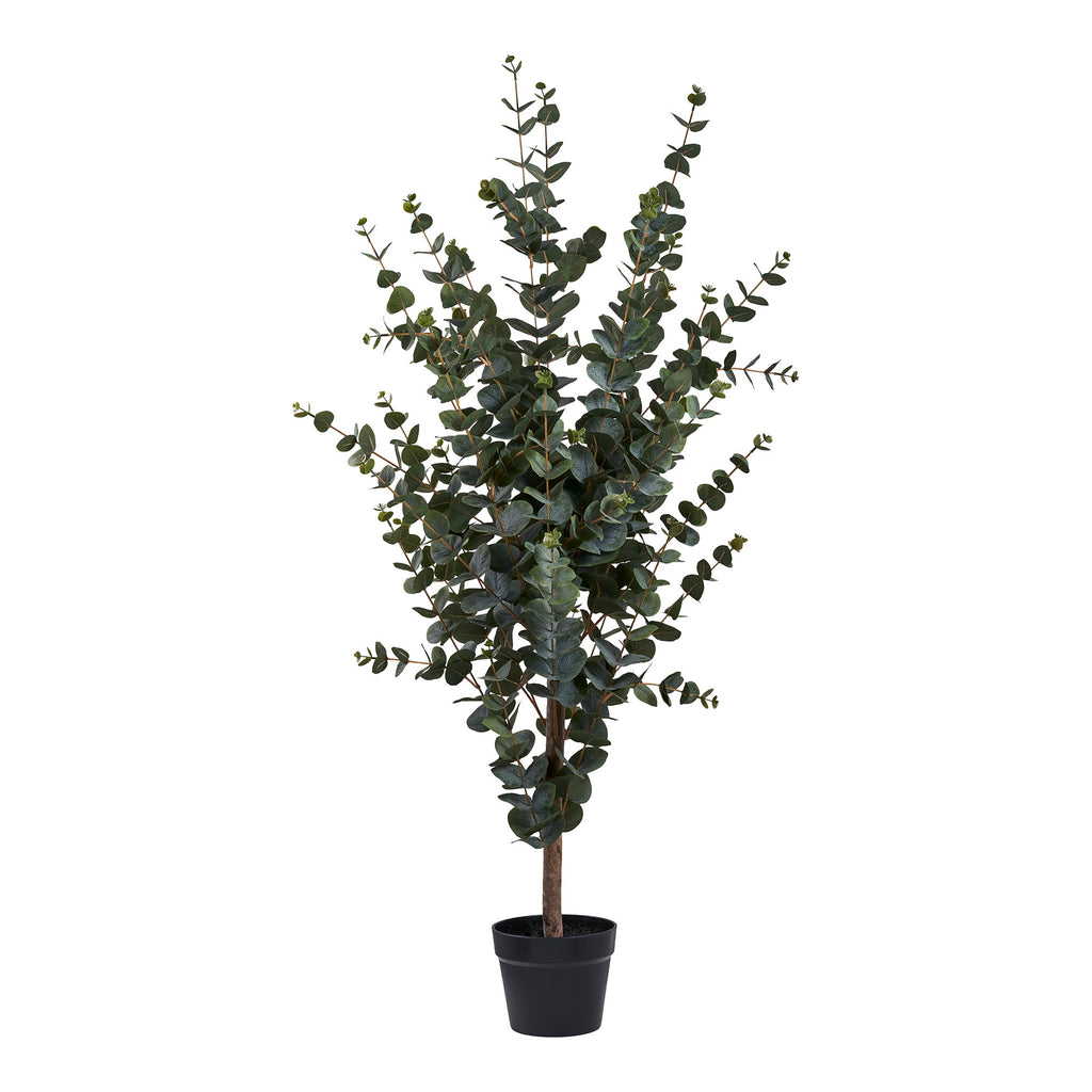 Arbre artificiel eucalyptus vert 120 cm dans pot noir fond blanc