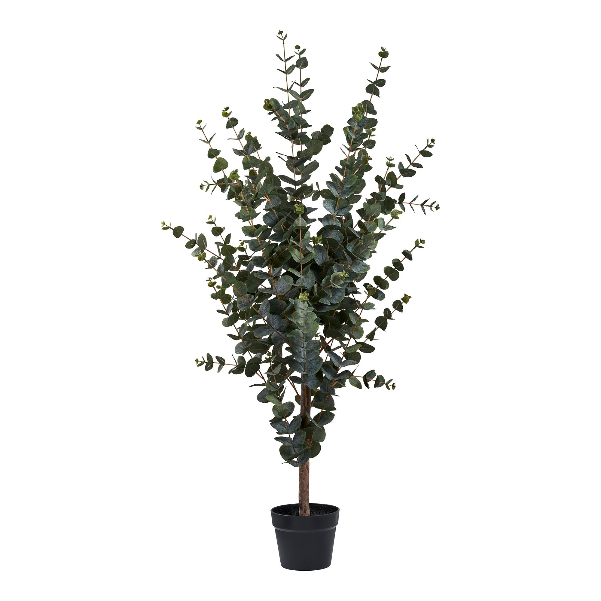 Arbre artificiel eucalyptus vert 120 cm dans pot noir fond blanc