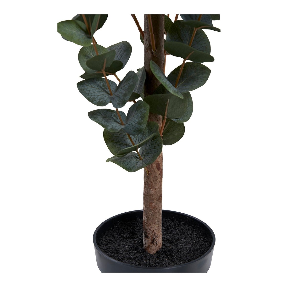 Tronc à l'aspect d'écorce de l'eucalyptus artificiel planté dans son pot noir