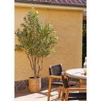 Arbre artificiel Olivier en pot 220 cm en situation