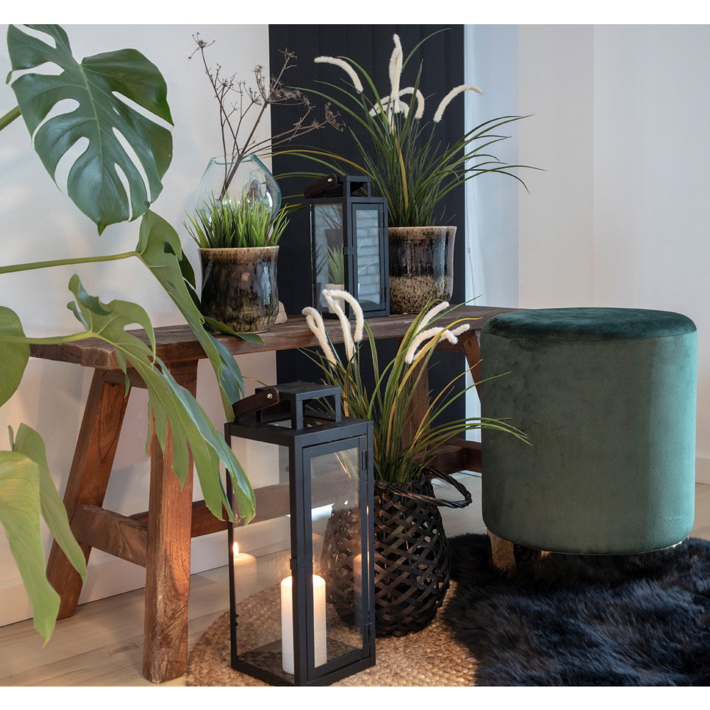 Banc teck naturel Barcelona entouré de plantes vertes et pouf velours