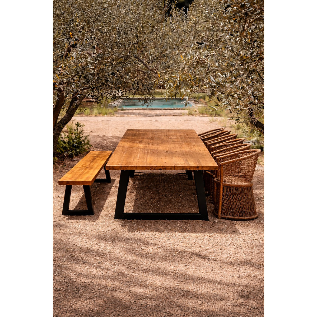 Banc en teck recyclé à pieds en fer le long d'une grande table sous des oliviers avec des fauteuils tressés