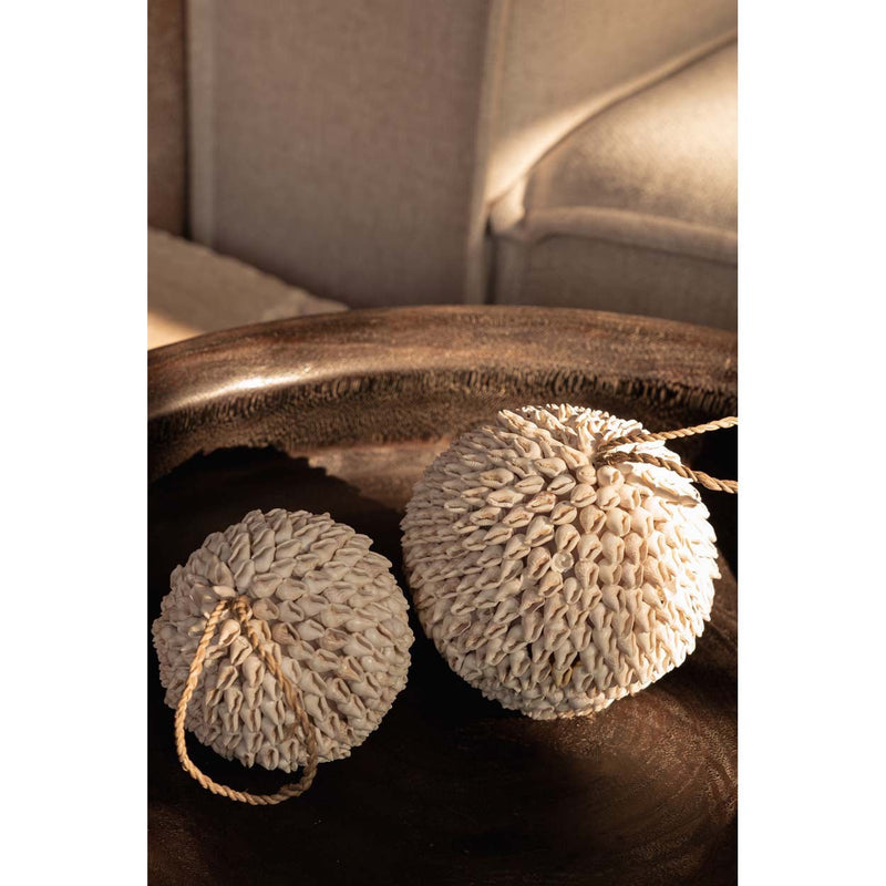 Dimensions Bola decorativa Bubble de conchas blancas 12 cm