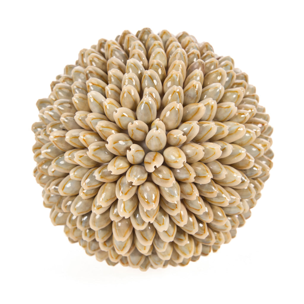 Boule décorative Oluolu en cauris 13 cm, vue 3