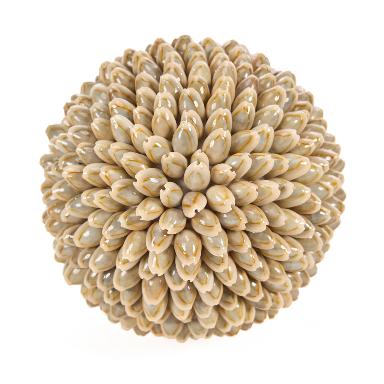 Boule décorative Oluolu en cauris 13 cm, vue 3