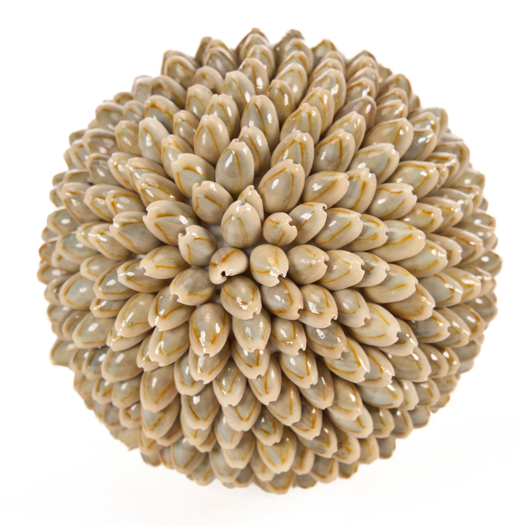 Boule décorative Oluolu en cauris 13 cm, vue 4