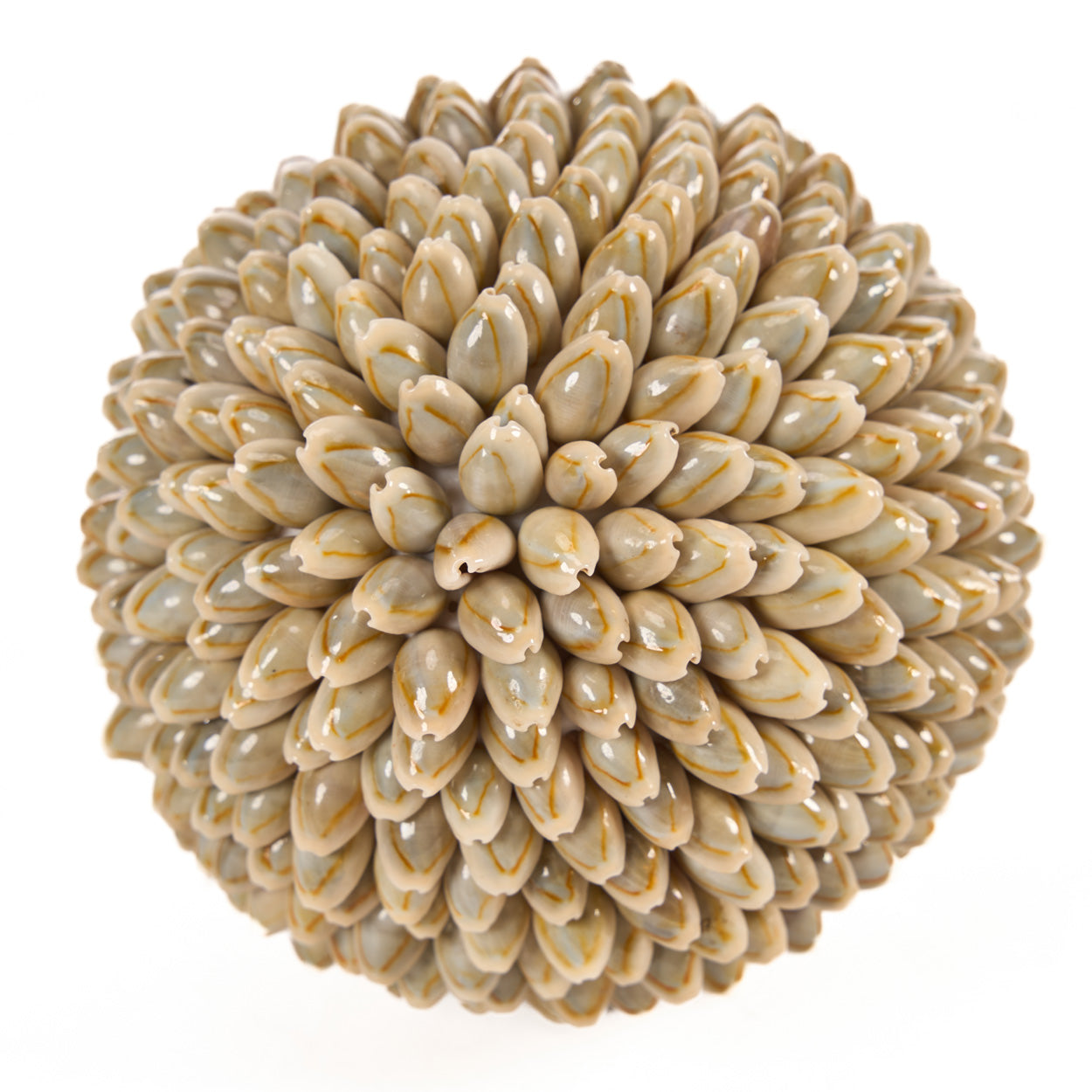 Boule décorative Oluolu en cauris 13 cm, vue 4