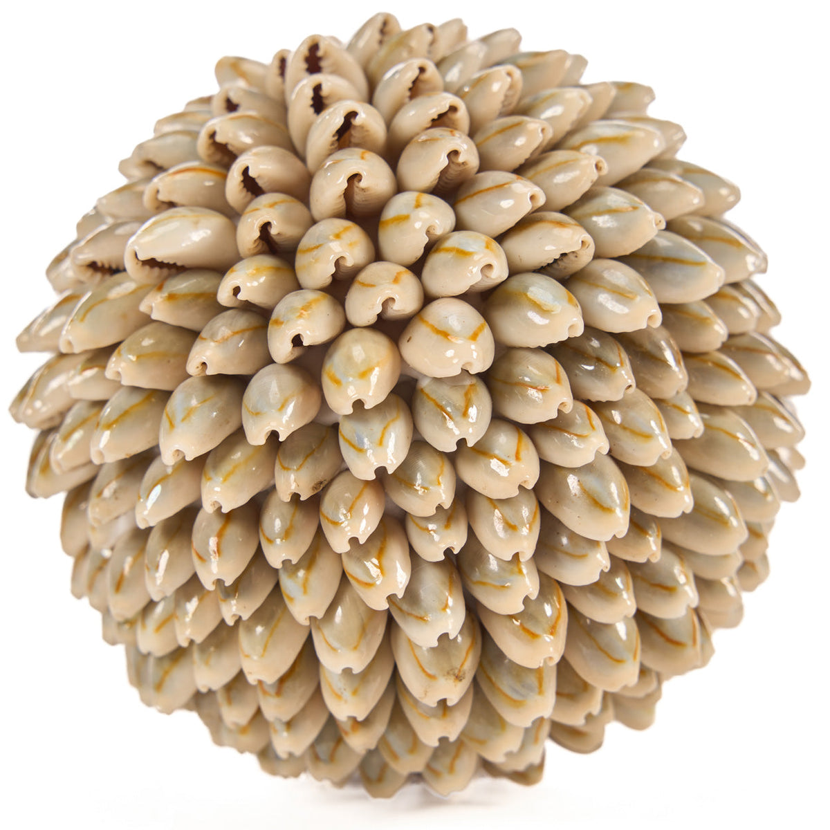 Gros plan sur les cauris brillants de la boule Oluolu ø 11 cm