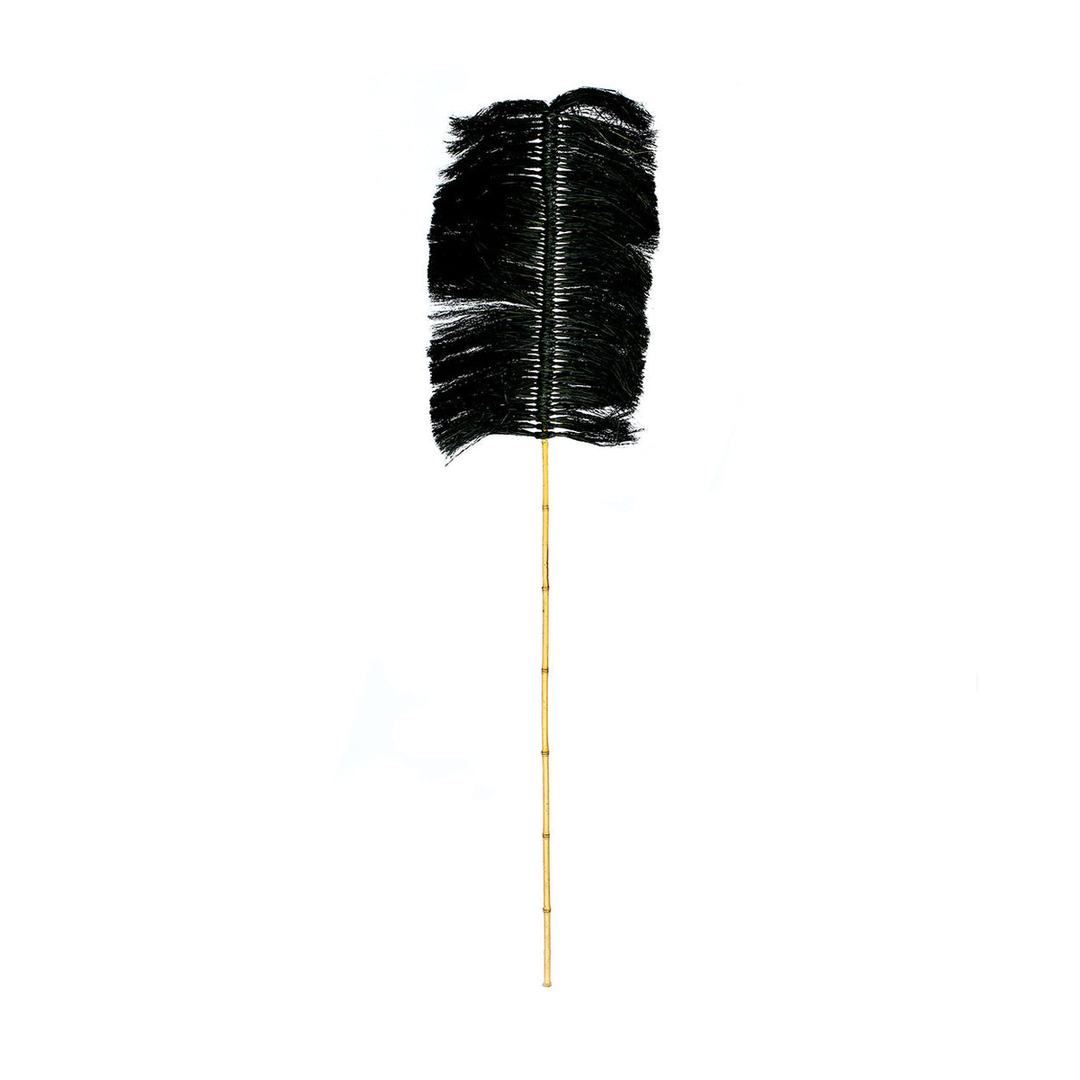 Branche décorative Palmeira entière avec sa palme de raphia noir et sa tige de bambou clair