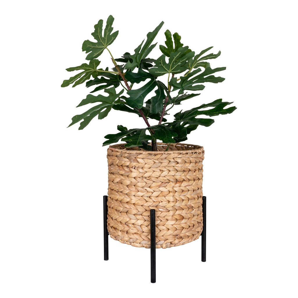 Cache-pot Antas tressé naturel avec philodendron fond blanc