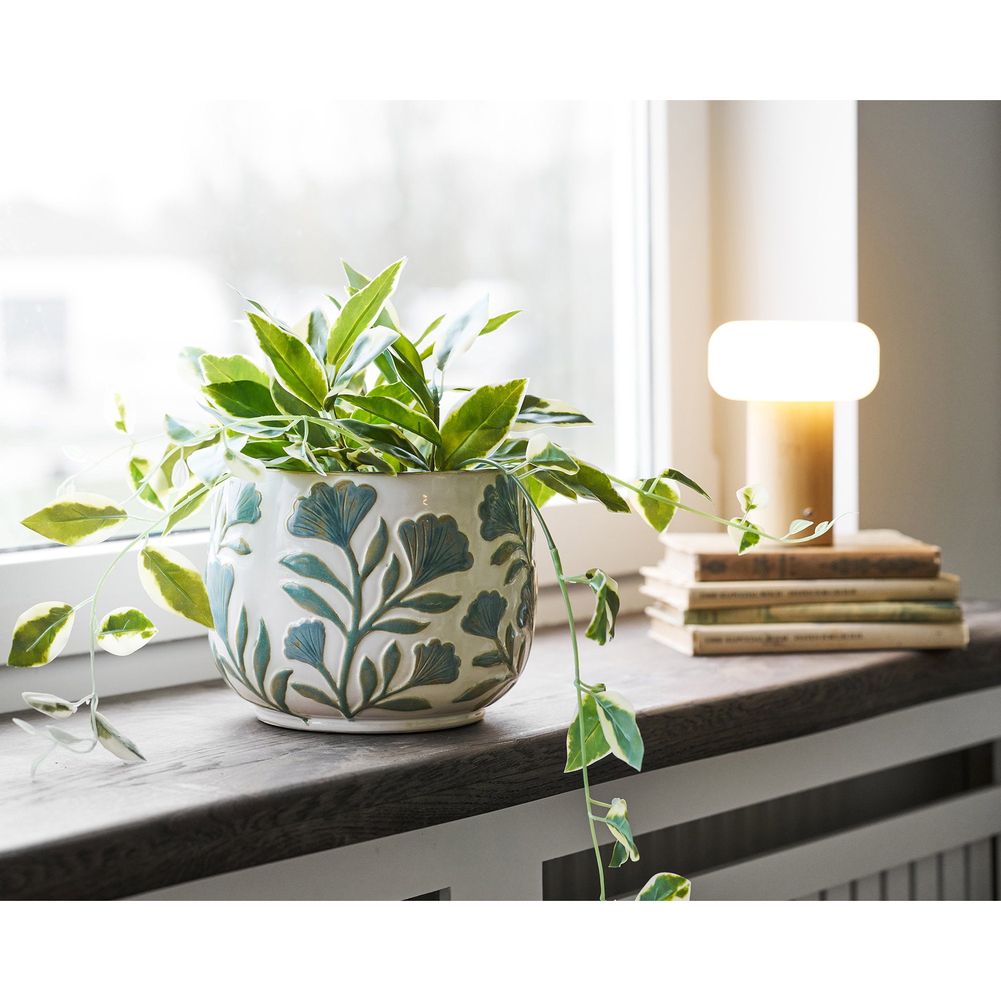 Cache-pot céramique floral blanc bleu plante verte rebord fenêtre intérieur lumineux