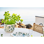 Cache-pot blanc et bleu garni de basilic sur une table blanche au bord de la mer