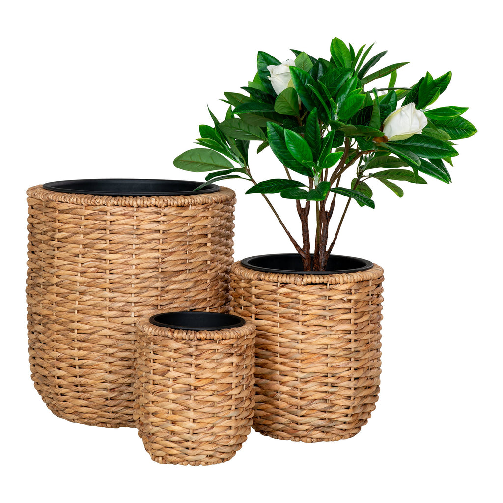 Set 3 cache-pots Hanoi jacinthe eau tressée corde avec gardenia blanc vue de face