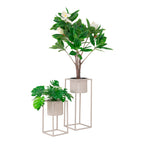 Set de 2 cache-pots Marla beige gris avec magnolia et monstera fond blanc