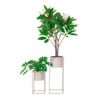 Cache-pots Marla beige gris vue de face avec plantes tropicales fond blanc