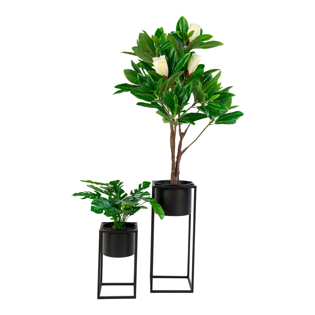 Cache-pots Marla noirs cubiques avec plantes tropicales vue de face fond blanc