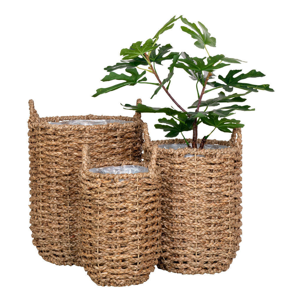 Cache-pots Hue seagrass tressé set 3 avec figuier artificiel vue trois quarts fond blanc