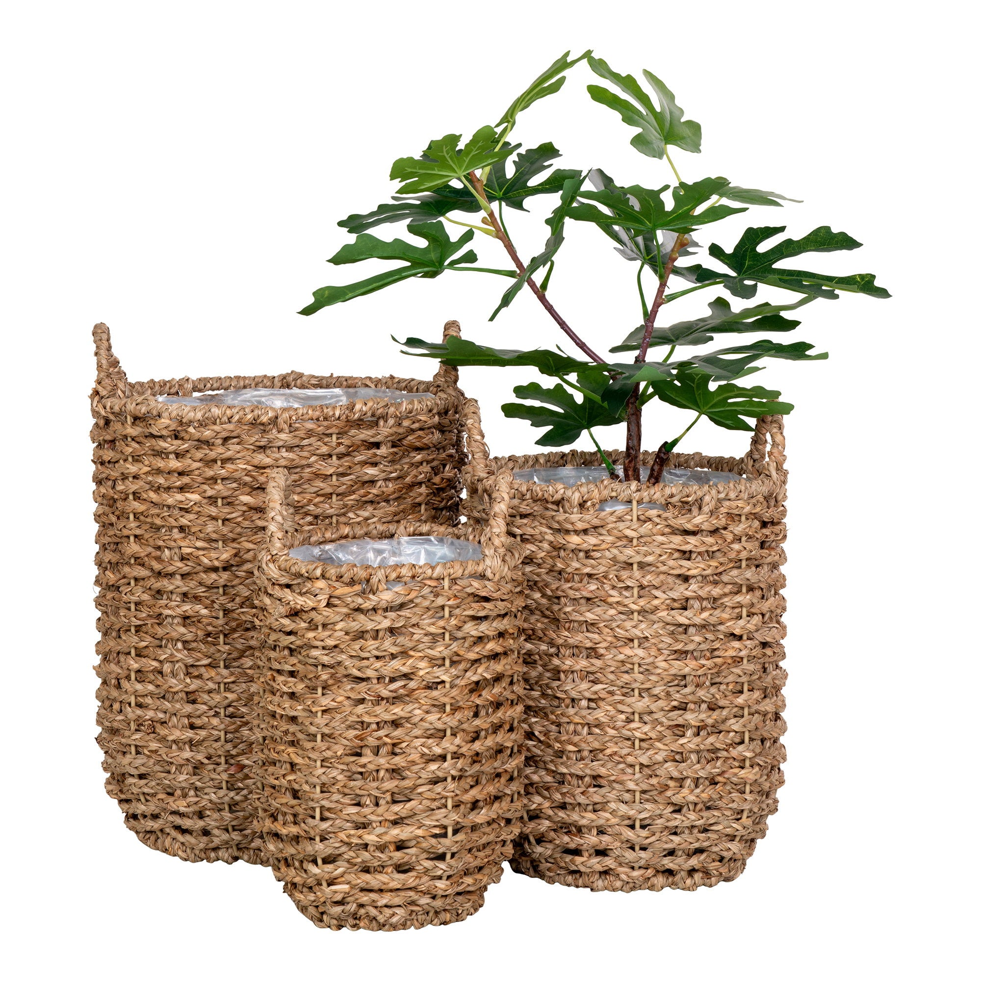 Cache-pots Hue seagrass tressé set 3 avec figuier artificiel vue trois quarts fond blanc