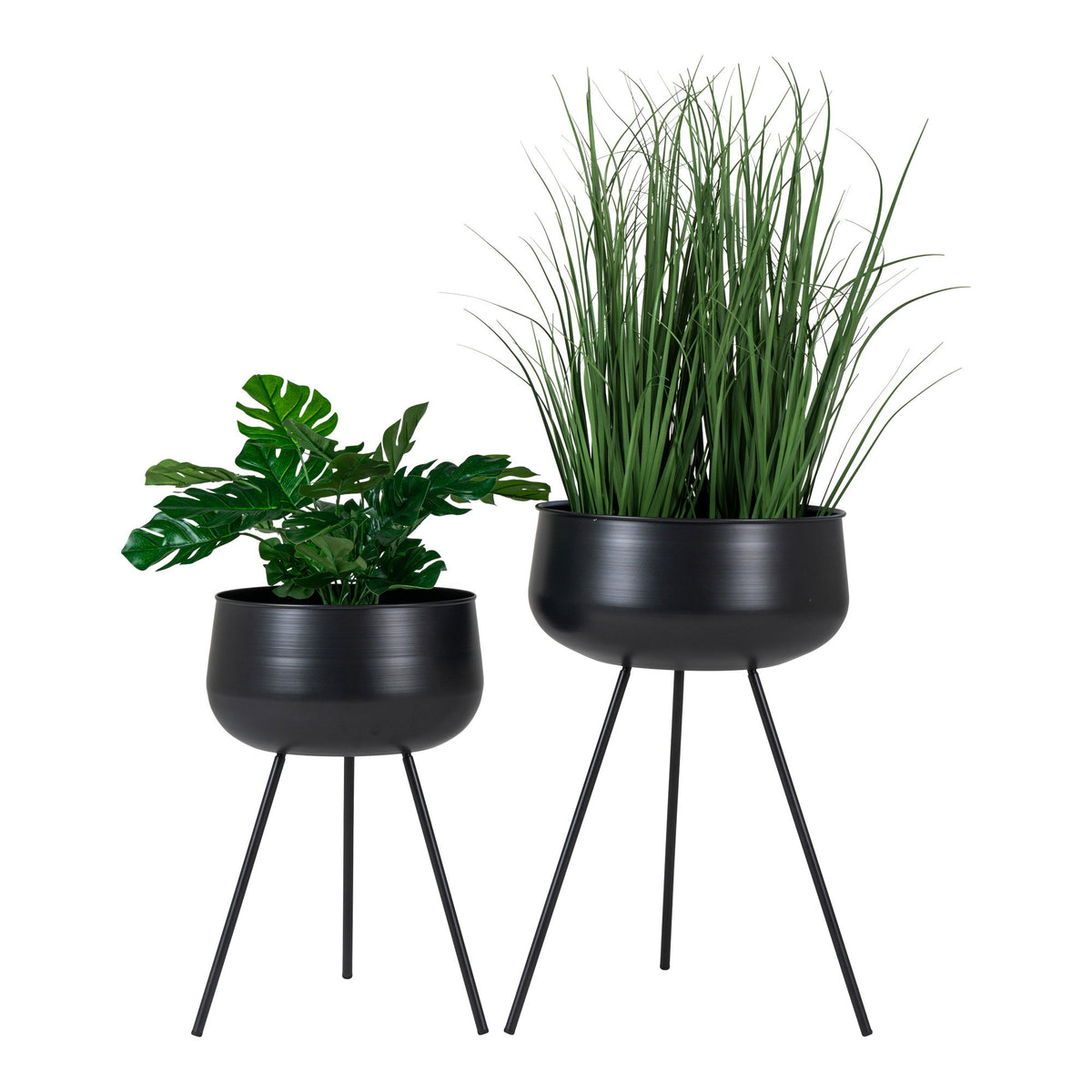Cache-pots sur pied Ardola noir mat garnis d'un monstera dans le petit et de graminées dans le grand
