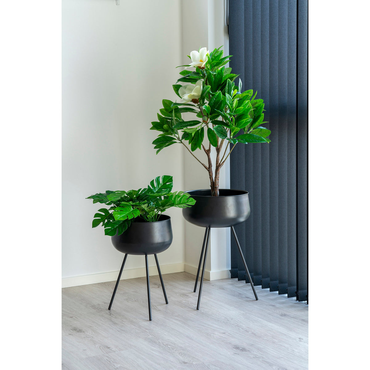 Cache-pots sur pied Ardola noir mat avec un monstera et un magnolia près d'une fenêtre à lames verticales