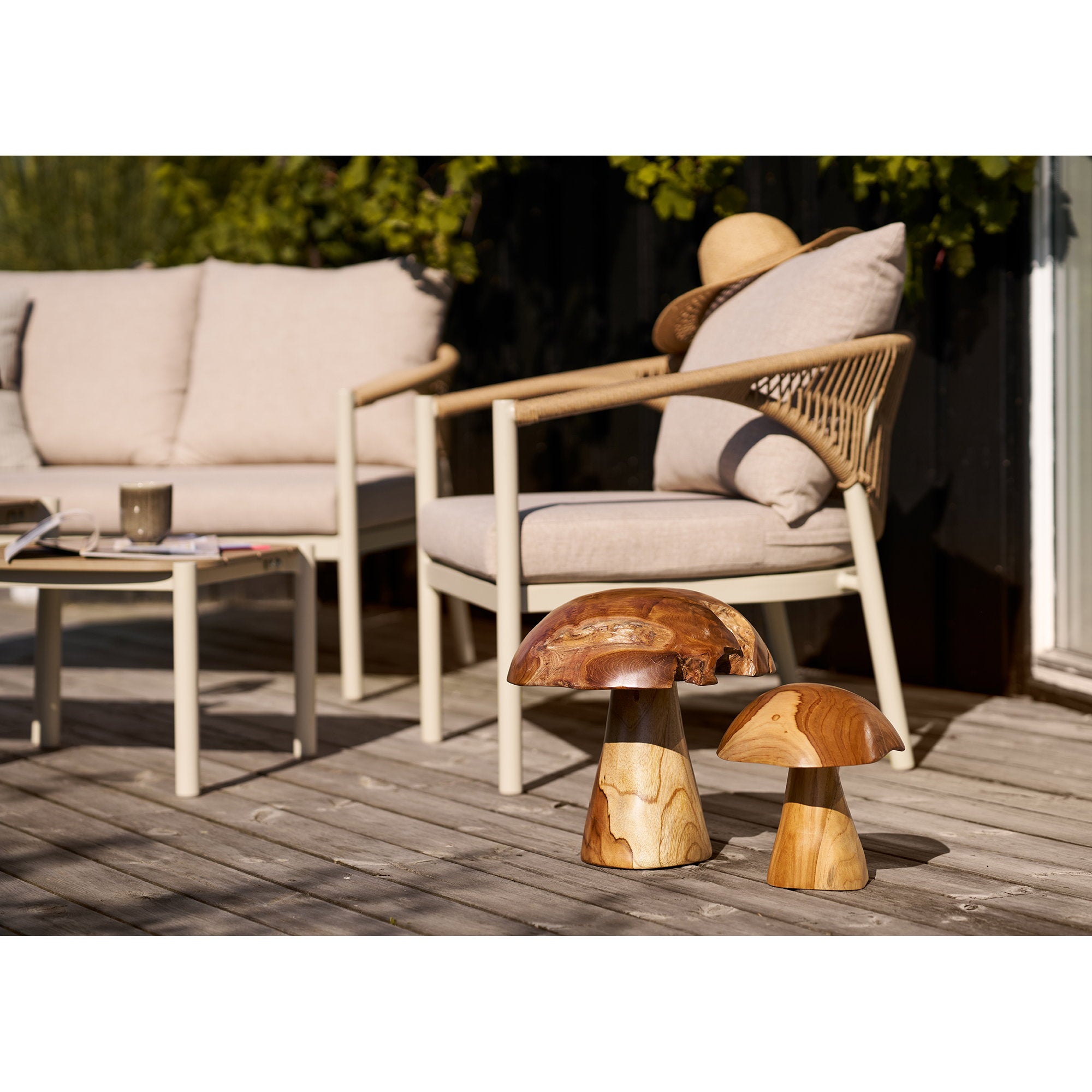 Champignons Kodi teck massif posés sur terrasse extérieur décoration jardin naturel