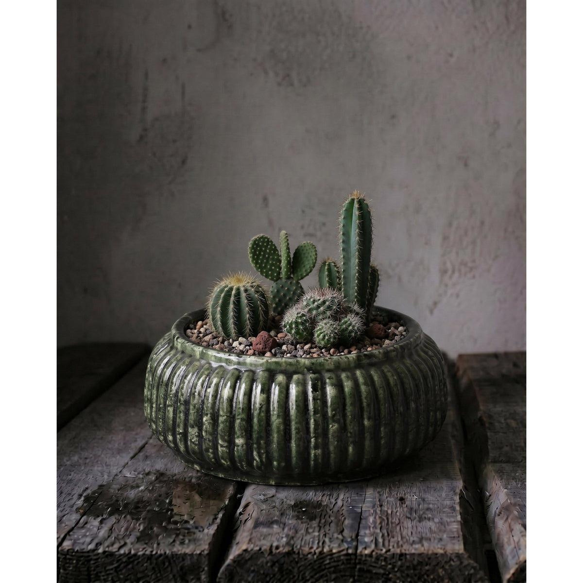 Coupe à planter Forest en grès vert garnie d'une composition de cactus sur une table en bois brut