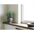 Coupe décorative Kullu manguier brun foncé 26 cm en situation