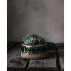 Coupe à planter Moss en grès vert 16 cm en situation