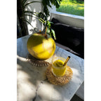 Dessous-de-plat en cordon de jonc de mer et coquillages 23 cm, vue 3