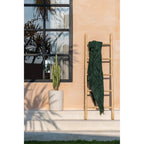 Échelle décorative en branches de teck 165 cm, vue 3
