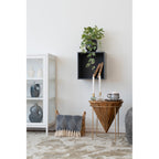 Étagère cube Horne gris ardoise en ambiance salon avec plante pot noir table bois doré