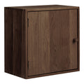 Étagère murale Townsville brun foncé cube avec porte