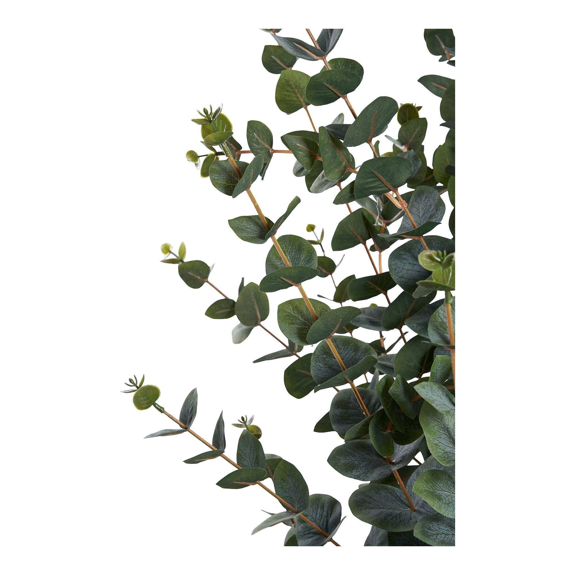 Gros plan branches et feuilles veloutées arbre artificiel eucalyptus réaliste