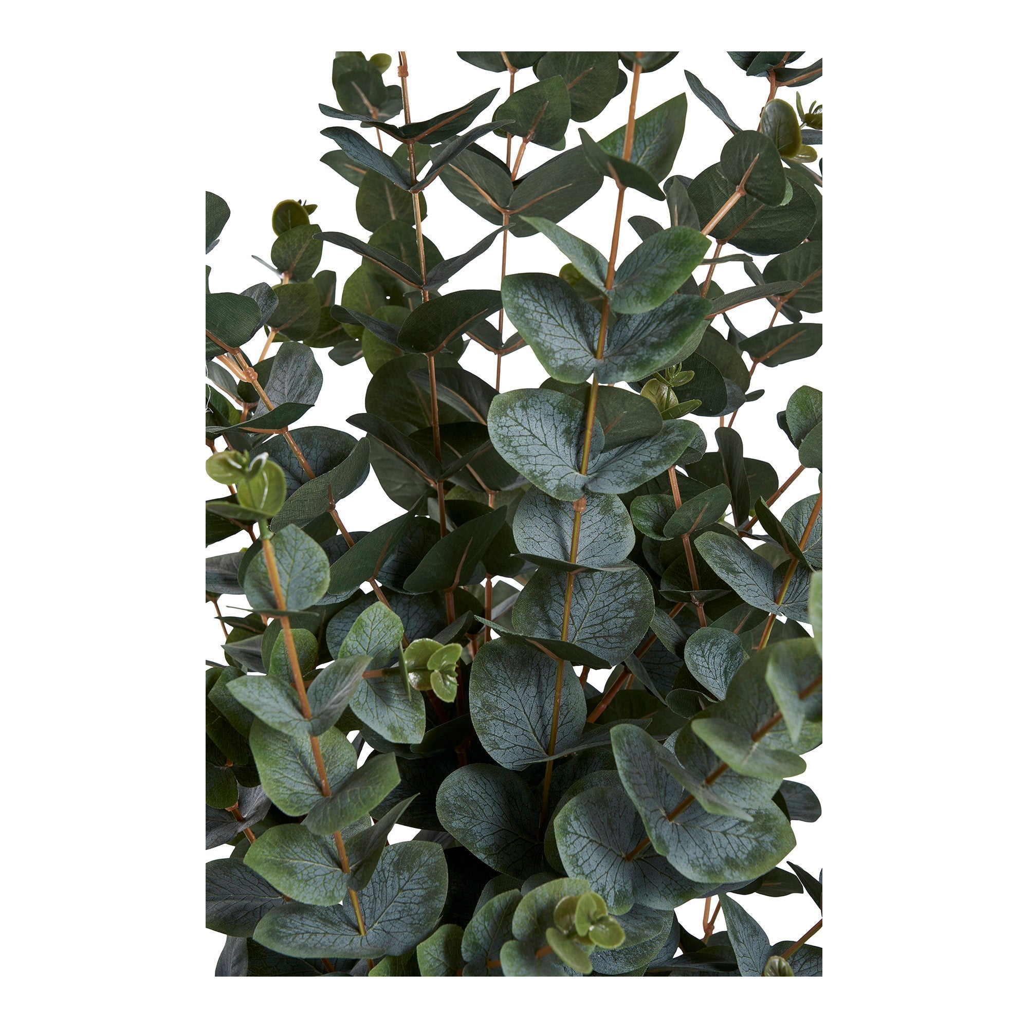Détail feuilles rondes vert-gris arbre artificiel eucalyptus haute qualité