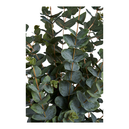 Détail feuilles rondes vert-gris arbre artificiel eucalyptus haute qualité