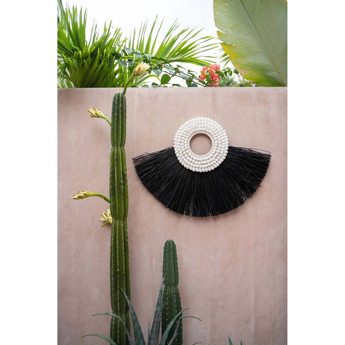 Éventail Shell en herbe noire et cauris sur un mur rosé à côté d'un grand cactus