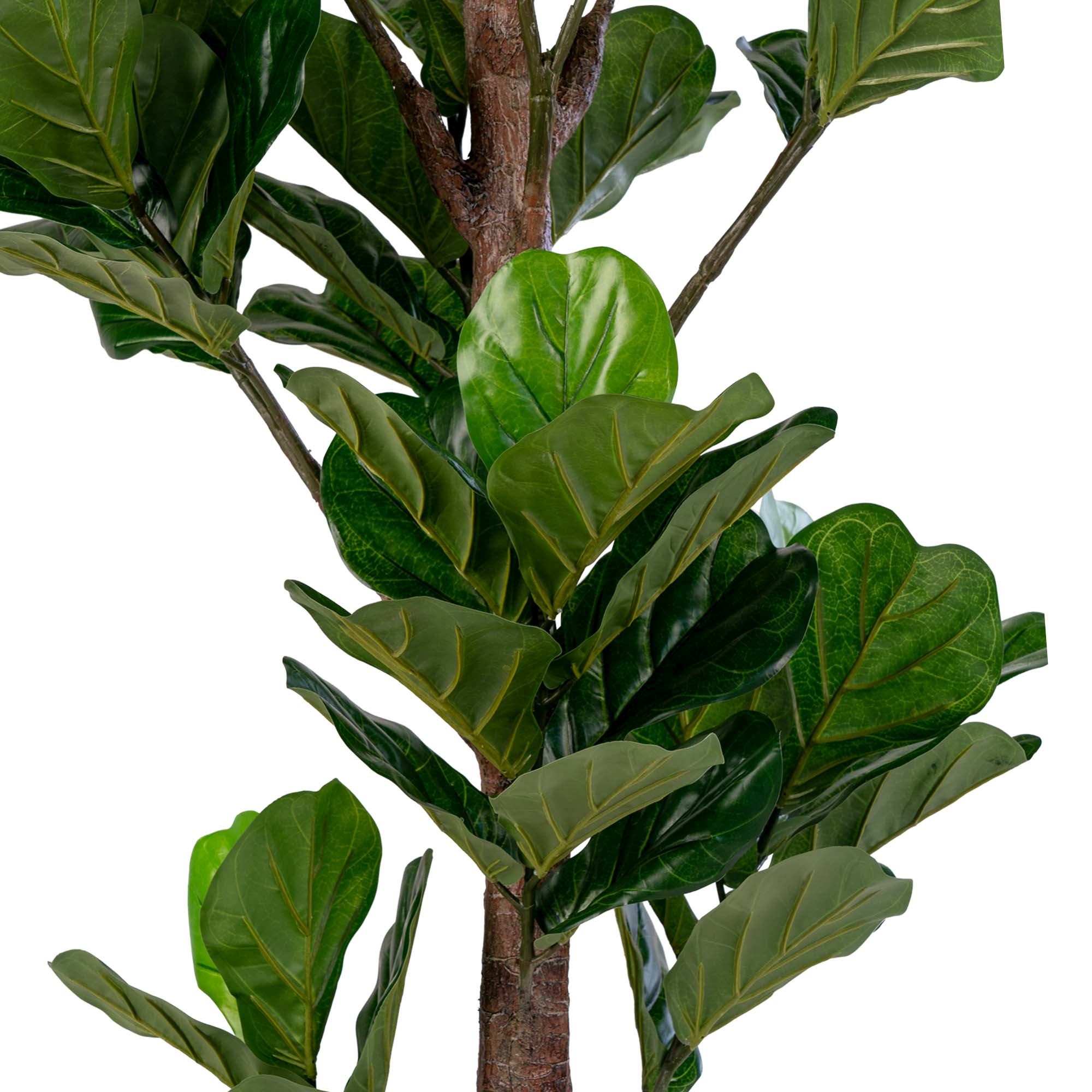 Détail grandes feuilles en violon vert intense nervures dorées en relief ficus lyrata artificiel PE