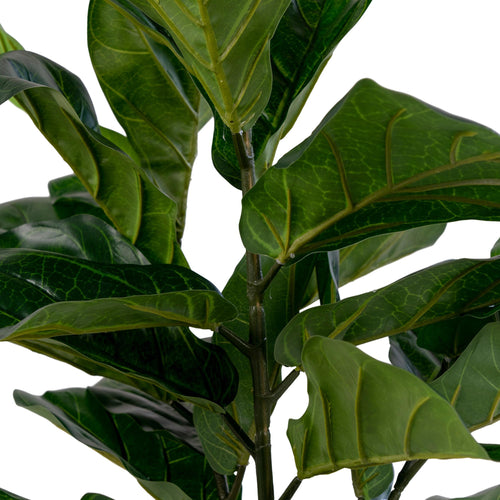 Détail grandes feuilles nervurées lustrées arbre artificiel Ficus Lyrata vert